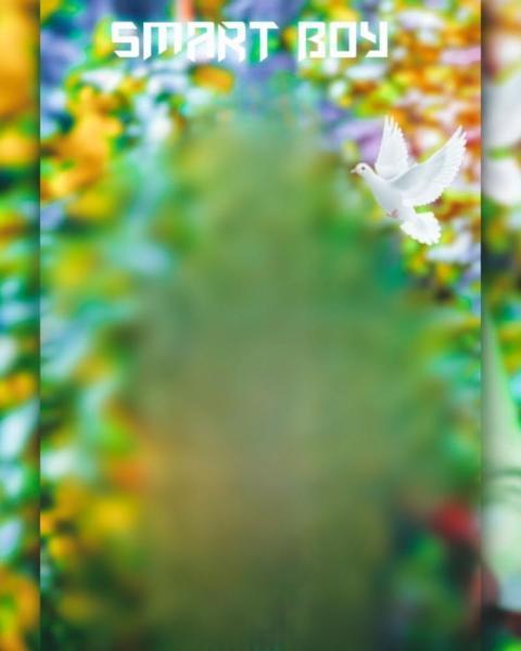 Smart Boy Photo Editing Background High Quality Download