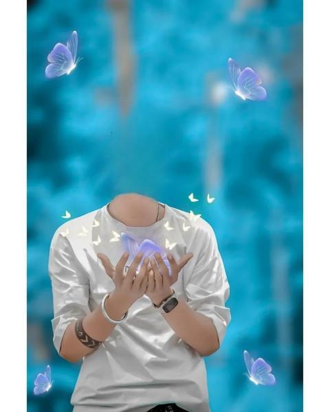 Butterfly Photo Editing Background HD Downoad