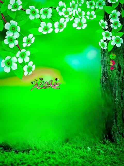Alone Photo Editing Background HD Free 2025