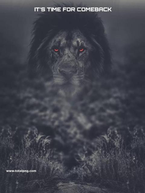 100+  Cb Photo Editing Background Free