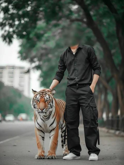 Tiger Cb Photo Editing Background Free