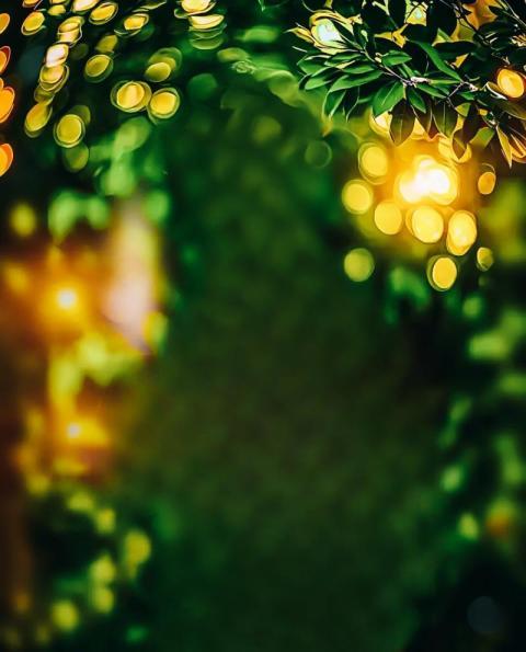 Dslr Free Cb Editing Background HD